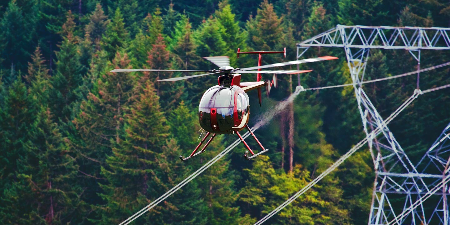Aerial Surveys in Green Bay